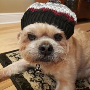 ❤️🐕 Host Pick 🐕❤️ Dog Knit Beanie Hat M